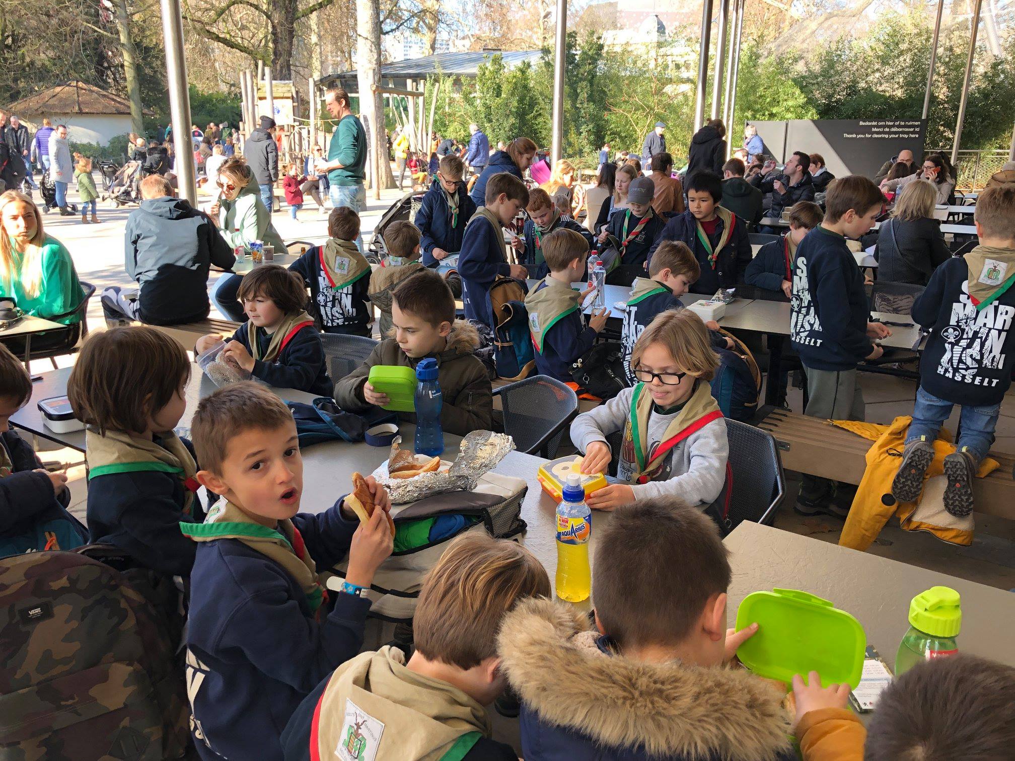 Sint-Martinus den XIIde - Zoo Antwerpen Kapoenen